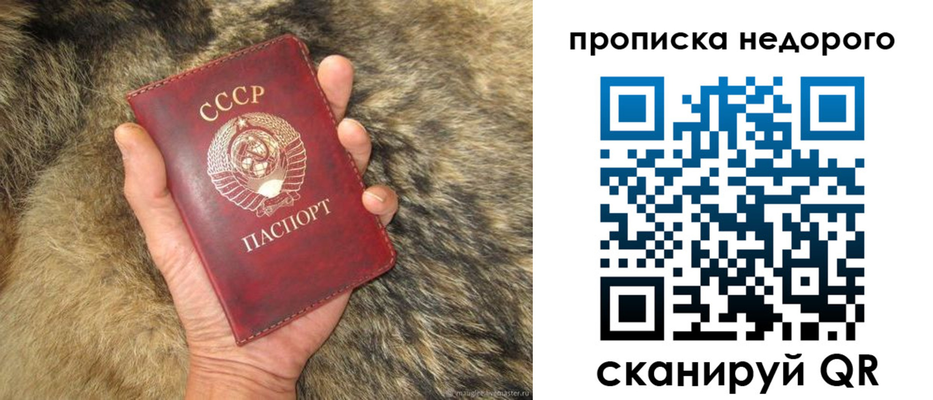 прописка для школы в Тюмени